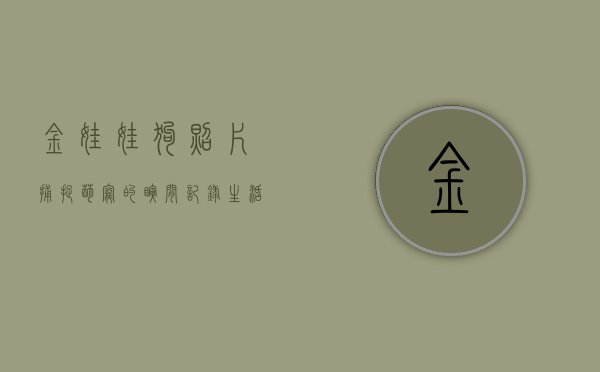 金娃娃狗照片，捕捉萌宠的瞬间，记录生活的美好