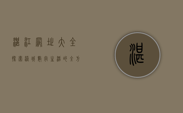 湛江网址大全，探索港城数字生活的全方位指南