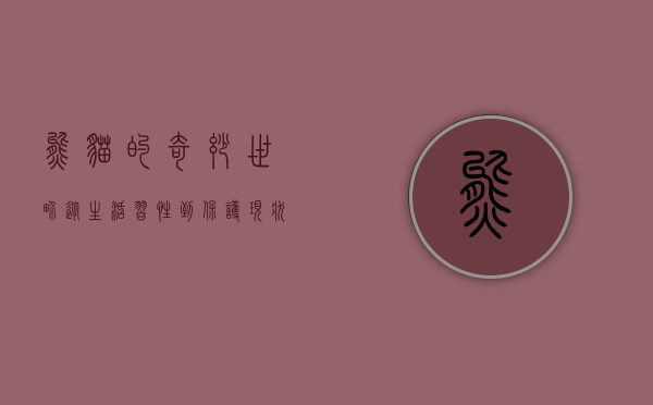 熊猫的奇妙世界，从生活习性到保护现状