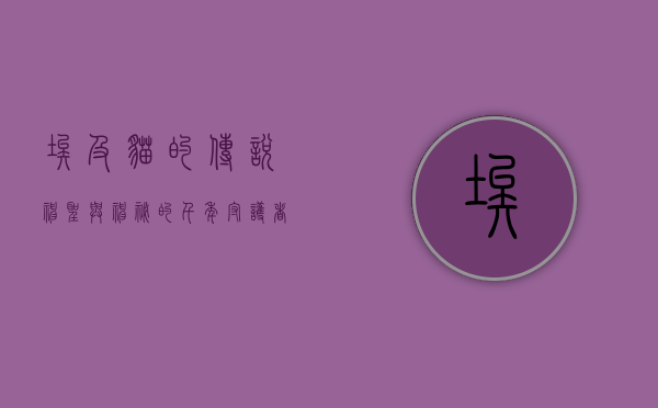 埃及猫的传说,神圣与神秘的千年守护者 埃及猫的传说,神圣与神秘的千年守护者