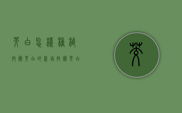 茭白怎样种植技术（茭白的栽培技术）（茭白高产优质栽培技术）