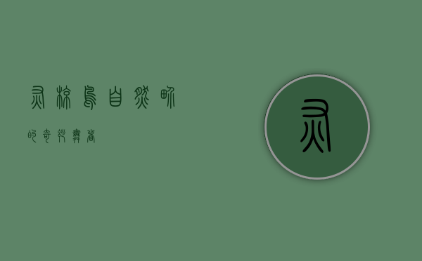 灰椋鸟，自然界的奇妙舞者