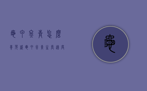 龟甲冬青怎么养茂盛（龟甲冬青生长速度快吗）