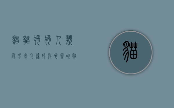 猫猫狗狗，人类最忠实的伙伴与心灵的慰藉