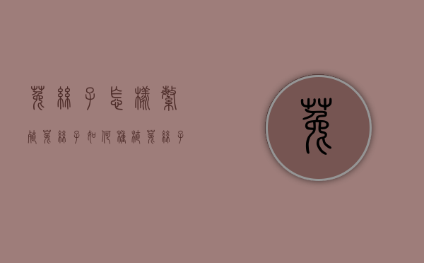 菟丝子怎样繁殖（菟丝子如何种植）（菟丝子生活史）