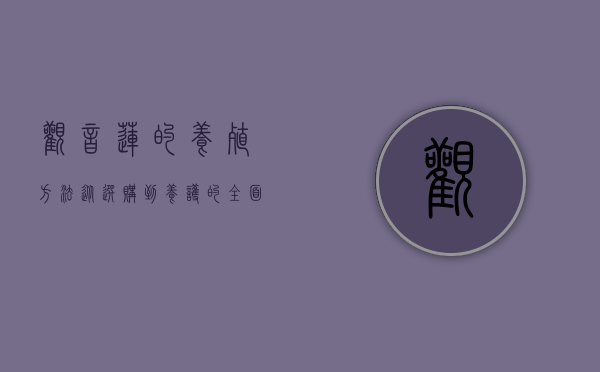 观音莲的养殖方法，从选购到养护的全面指南