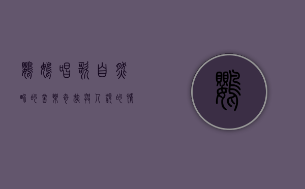 鹦鹉唱歌，自然界的音乐奇迹与人类的情感共鸣