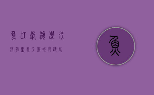 鱼缸过滤器，水族箱生态平衡的守护者