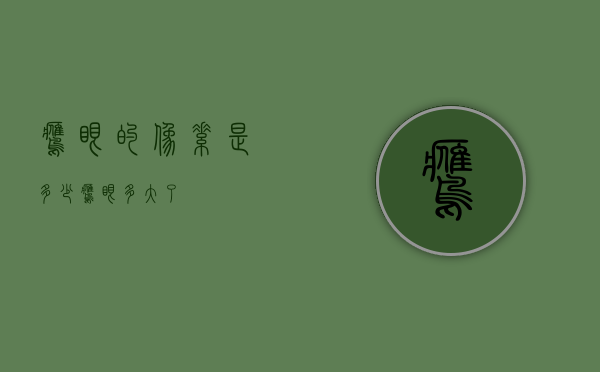 鹰眼的像素是多少（鹰眼多大了）