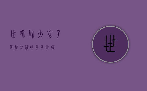 世界最大兔子，巨型兔种的奇妙世界