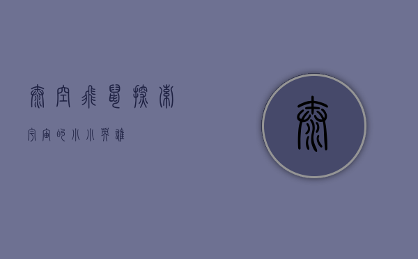 太空飞鼠，探索宇宙的小小英雄