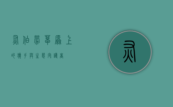 灰伯劳，草原上的猎手与生态守护者