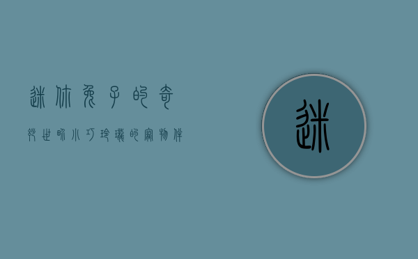 迷你兔子的奇妙世界，小巧玲珑的宠物伴侣