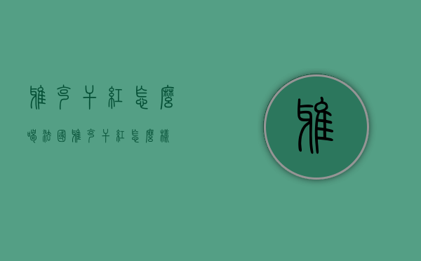 雅克干红怎么喝（法国雅克干红怎么样）