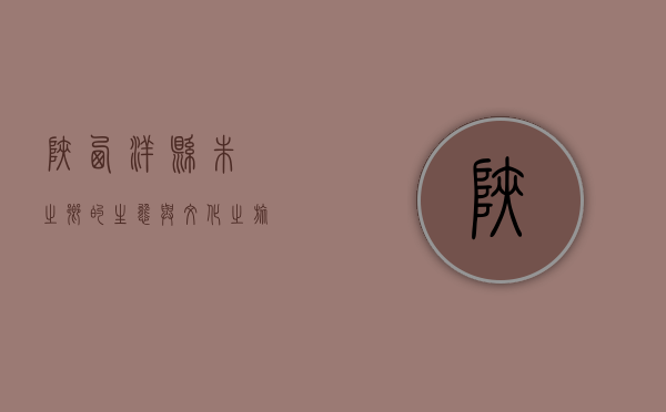 陕西洋县，朱鹮之乡的生态与文化之旅