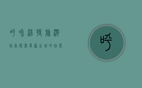 呼和浩特旅游指南，探索草原之城的自然与人文魅力