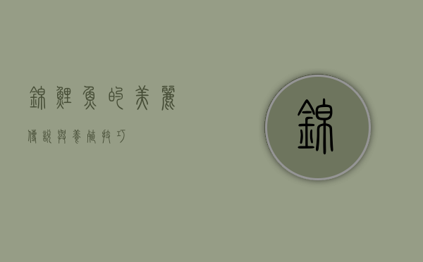 锦鲤鱼的美丽传说与养殖技巧