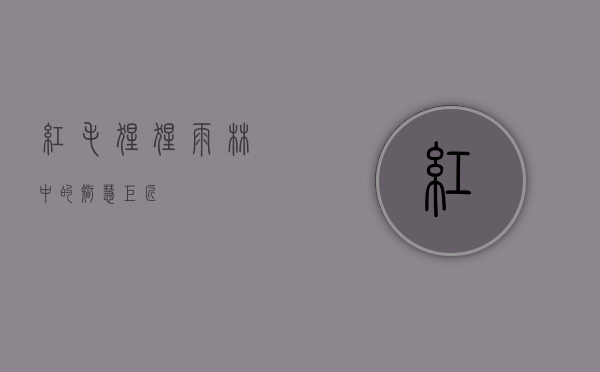 红毛猩猩，雨林中的智慧巨匠