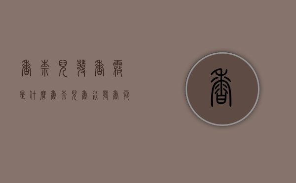 香奈儿发香雾是什么（香奈儿香水发香雾）