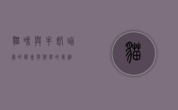 猫咪与牛奶，甜蜜的误会与科学的真相