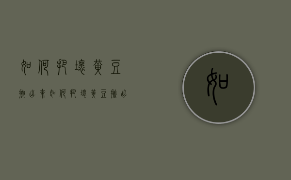 如何把坏黄豆挑出来（如何把坏黄豆挑出来卖）