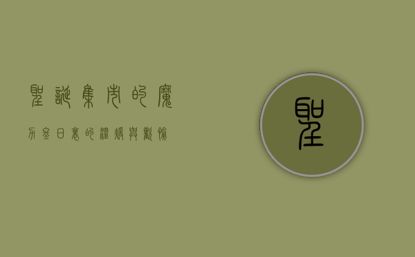 圣诞集市的魔力，冬日里的温暖与欢愉
