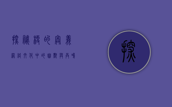 探秘梗的奥义，网络文化中的幽默与共鸣