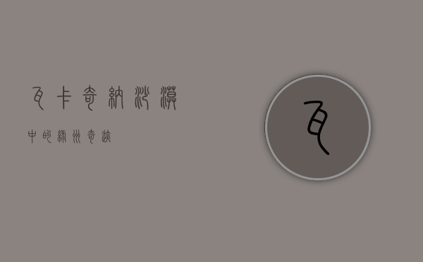 瓦卡奇纳，沙漠中的绿洲奇迹