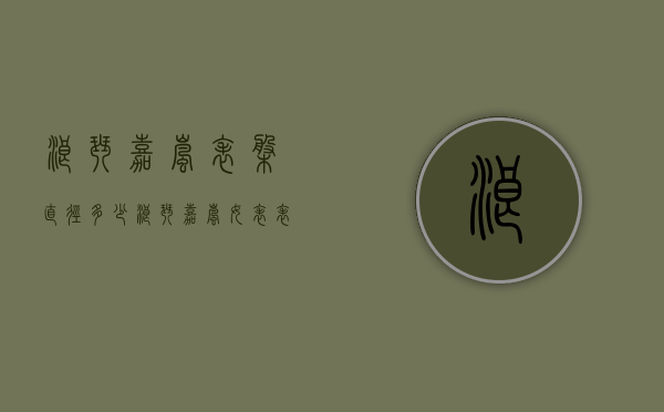 浪琴嘉岚表盘直径多少（浪琴嘉岚女表表盘直径多少）