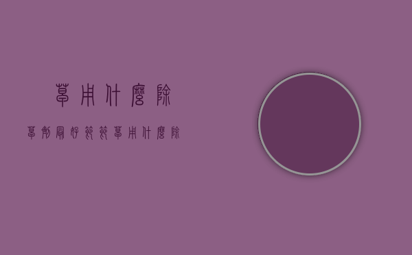 菵草用什么除草剂最好(节节草用什么除草剂)（节节草用什么药可以打死）