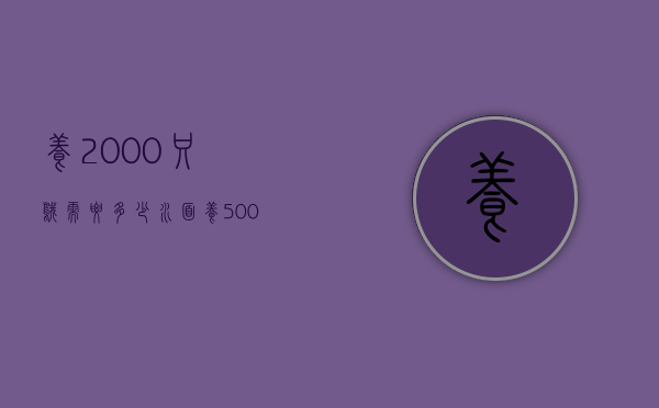 养2000只鹅需要多少水面（养5000只鹅需要多大面积）