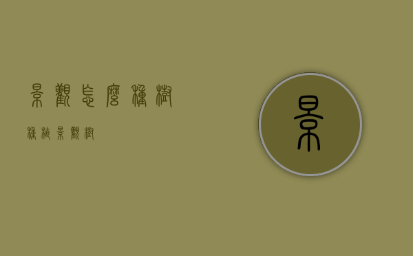 景观怎么种树（种植景观树）
