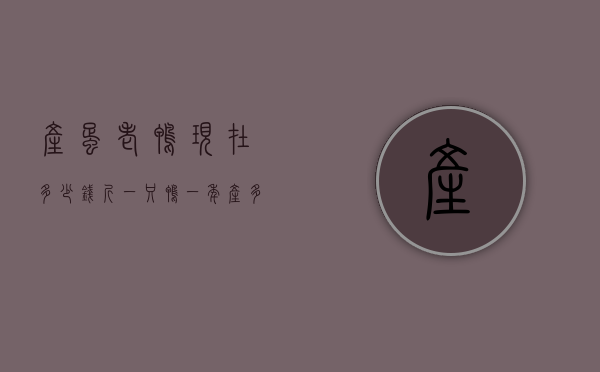 产蛋老鸭现在多少钱斤（一只鸭一年产多少斤蛋）