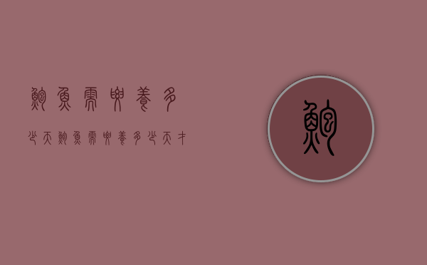 鲍鱼需要养多少天（鲍鱼需要养多少天才能卖）