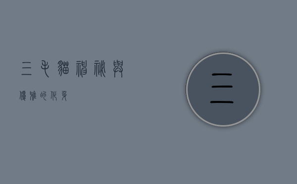 三毛猫，神秘与优雅的化身