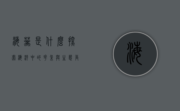 海葵是什么？探索海洋中的花朵与生态角色