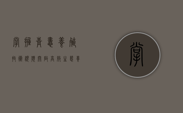 掌握青蛙养殖技术视频，开启高效生态养殖新篇章
