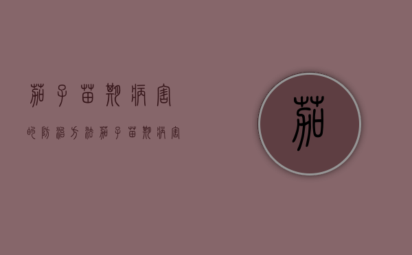 茄子苗期病害的防治方法（茄子苗期病害的防治方法视频）