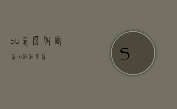 su怎么做窗帘（su制作窗帘）