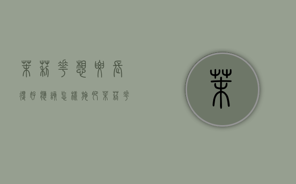茉莉花想要长得好应该怎样施肥？茉莉花施肥技术！（茉莉花需要怎么施肥才能活）