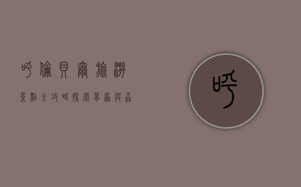 呼伦贝尔旅游景点全攻略，探索草原与森林的绝美风光