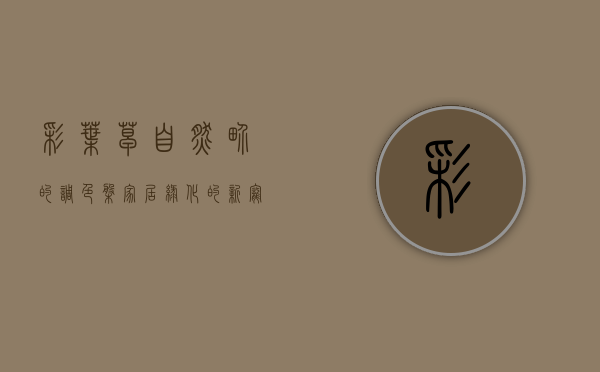 彩叶草，自然界的调色盘，家居绿化的新宠