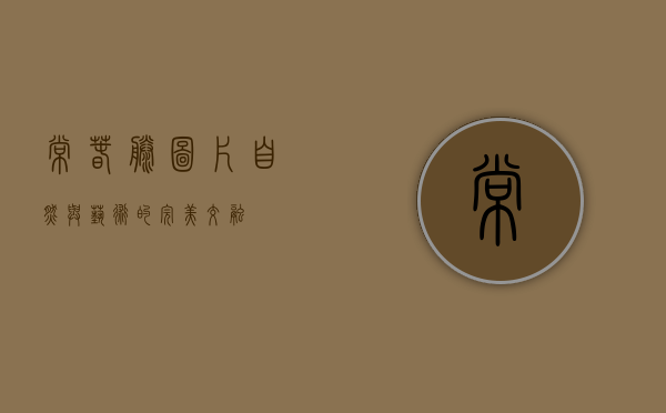 常春藤图片，自然与艺术的完美交融
