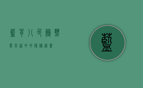 蓝背八色鸫，热带雨林中的隐秘精灵