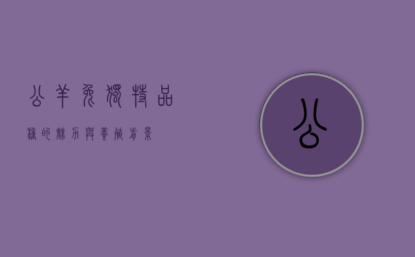 公羊兔，独特品种的魅力与养殖前景