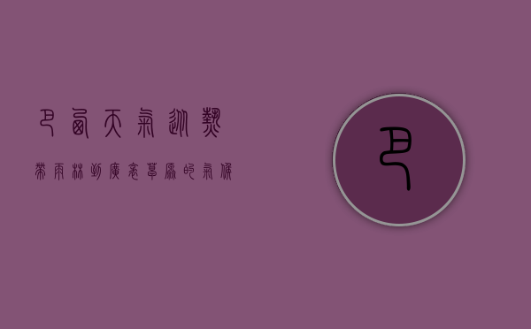 巴西天气，从热带雨林到广袤草原的气候多样性