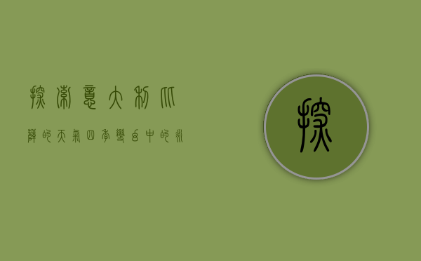 探索意大利比萨的天气，四季变幻中的永恒魅力