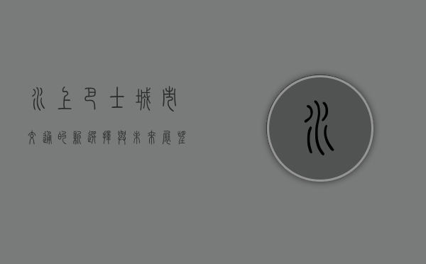 水上巴士，城市交通的新选择与未来展望