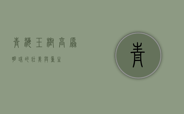 青海玉树，高原明珠的壮美与重生