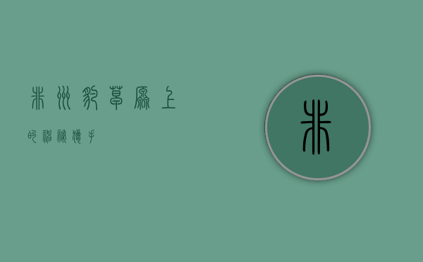 非洲豹，草原上的神秘猎手
